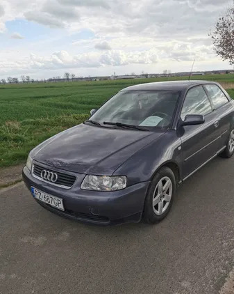 audi a3 szamotuły Audi A3 cena 4700 przebieg: 234000, rok produkcji 2000 z Szamotuły